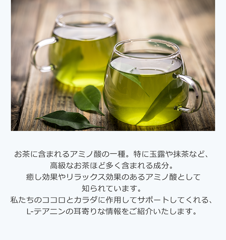 お茶に含まれるアミノ酸の一種。特に玉露や抹茶など、高級なお茶ほど多く含まれる成分。癒し効果やリラックス効果のあるアミノ酸として知られています。私たちのココロとカラダに作用してサポートしてくれる、L-テアニンの耳寄りな情報をご紹介いたします。